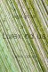 Шторы нити кисея Радуга дождь №1+15+19 Золото